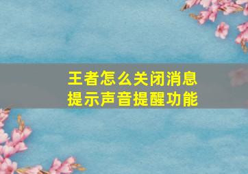 王者怎么关闭消息提示声音提醒功能