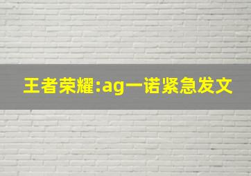 王者荣耀:ag一诺紧急发文