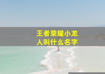 王者荣耀小龙人叫什么名字