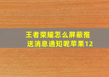 王者荣耀怎么屏蔽推送消息通知呢苹果12