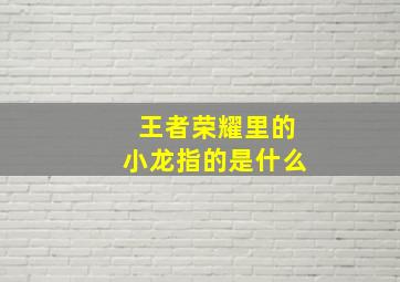 王者荣耀里的小龙指的是什么