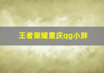 王者荣耀重庆qg小胖