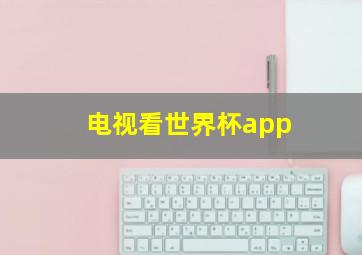 电视看世界杯app