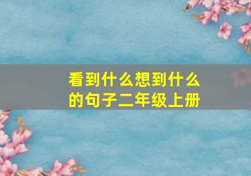 看到什么想到什么的句子二年级上册