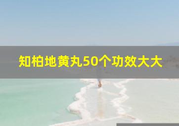 知柏地黄丸50个功效大大