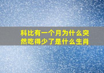 科比有一个月为什么突然吃得少了是什么生肖