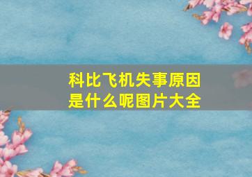 科比飞机失事原因是什么呢图片大全