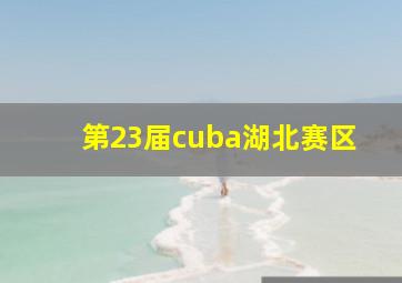 第23届cuba湖北赛区