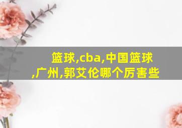 篮球,cba,中国篮球,广州,郭艾伦哪个厉害些