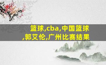 篮球,cba,中国篮球,郭艾伦,广州比赛结果