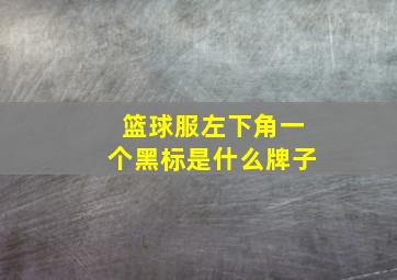 篮球服左下角一个黑标是什么牌子