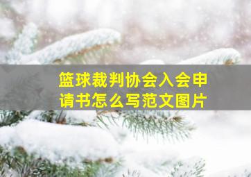 篮球裁判协会入会申请书怎么写范文图片