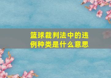 篮球裁判法中的违例种类是什么意思