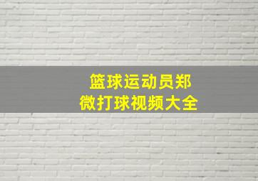 篮球运动员郑微打球视频大全