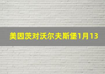 美因茨对沃尔夫斯堡1月13