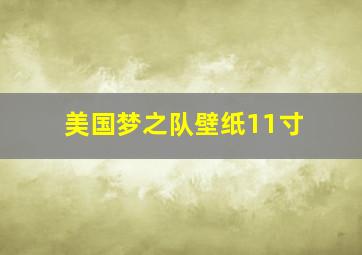 美国梦之队壁纸11寸