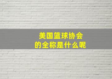 美国篮球协会的全称是什么呢