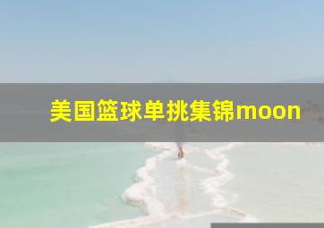 美国篮球单挑集锦moon