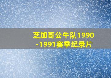 芝加哥公牛队1990-1991赛季纪录片