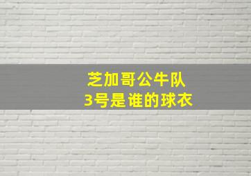 芝加哥公牛队3号是谁的球衣