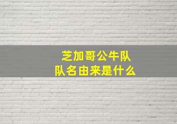 芝加哥公牛队队名由来是什么