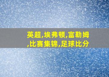 英超,埃弗顿,富勒姆,比赛集锦,足球比分