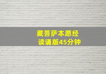 藏菩萨本愿经读诵版45分钟