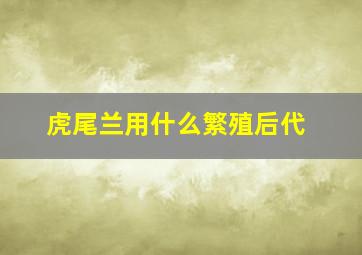 虎尾兰用什么繁殖后代