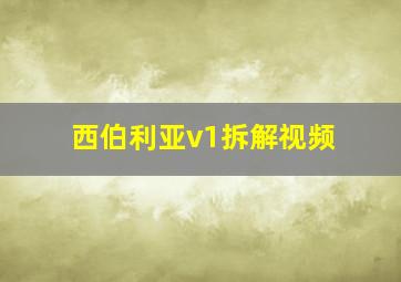 西伯利亚v1拆解视频