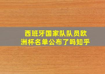 西班牙国家队队员欧洲杯名单公布了吗知乎