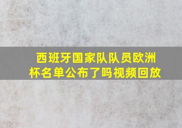 西班牙国家队队员欧洲杯名单公布了吗视频回放