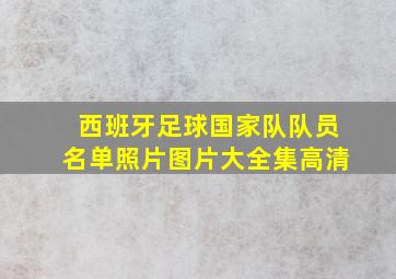 西班牙足球国家队队员名单照片图片大全集高清