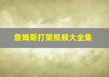 詹姆斯打架视频大全集