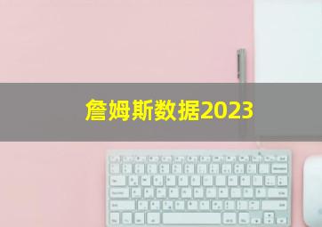 詹姆斯数据2023