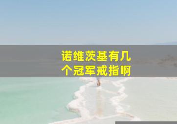 诺维茨基有几个冠军戒指啊