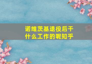 诺维茨基退役后干什么工作的呢知乎