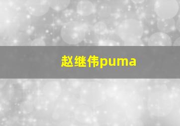 赵继伟puma