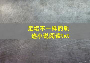 足坛不一样的轨迹小说阅读txt