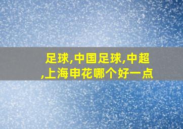 足球,中国足球,中超,上海申花哪个好一点