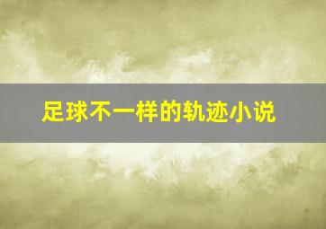 足球不一样的轨迹小说