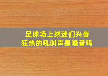 足球场上球迷们兴奋狂热的吼叫声是噪音吗