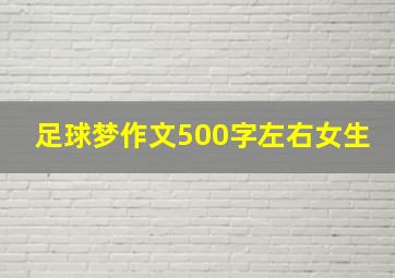 足球梦作文500字左右女生