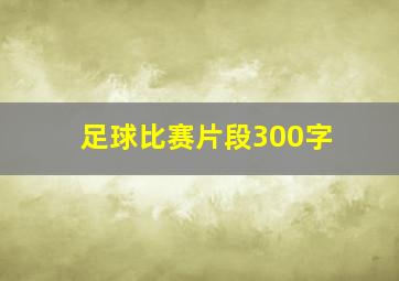 足球比赛片段300字