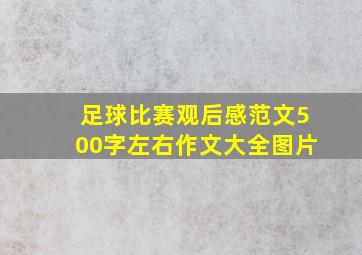 足球比赛观后感范文500字左右作文大全图片