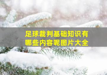 足球裁判基础知识有哪些内容呢图片大全