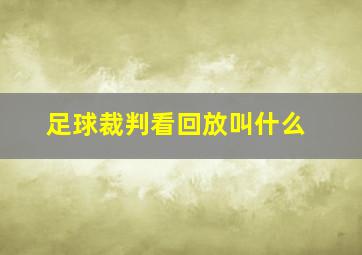 足球裁判看回放叫什么