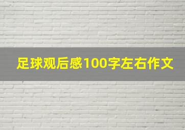 足球观后感100字左右作文