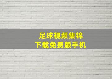 足球视频集锦下载免费版手机