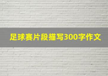 足球赛片段描写300字作文