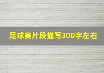 足球赛片段描写300字左右